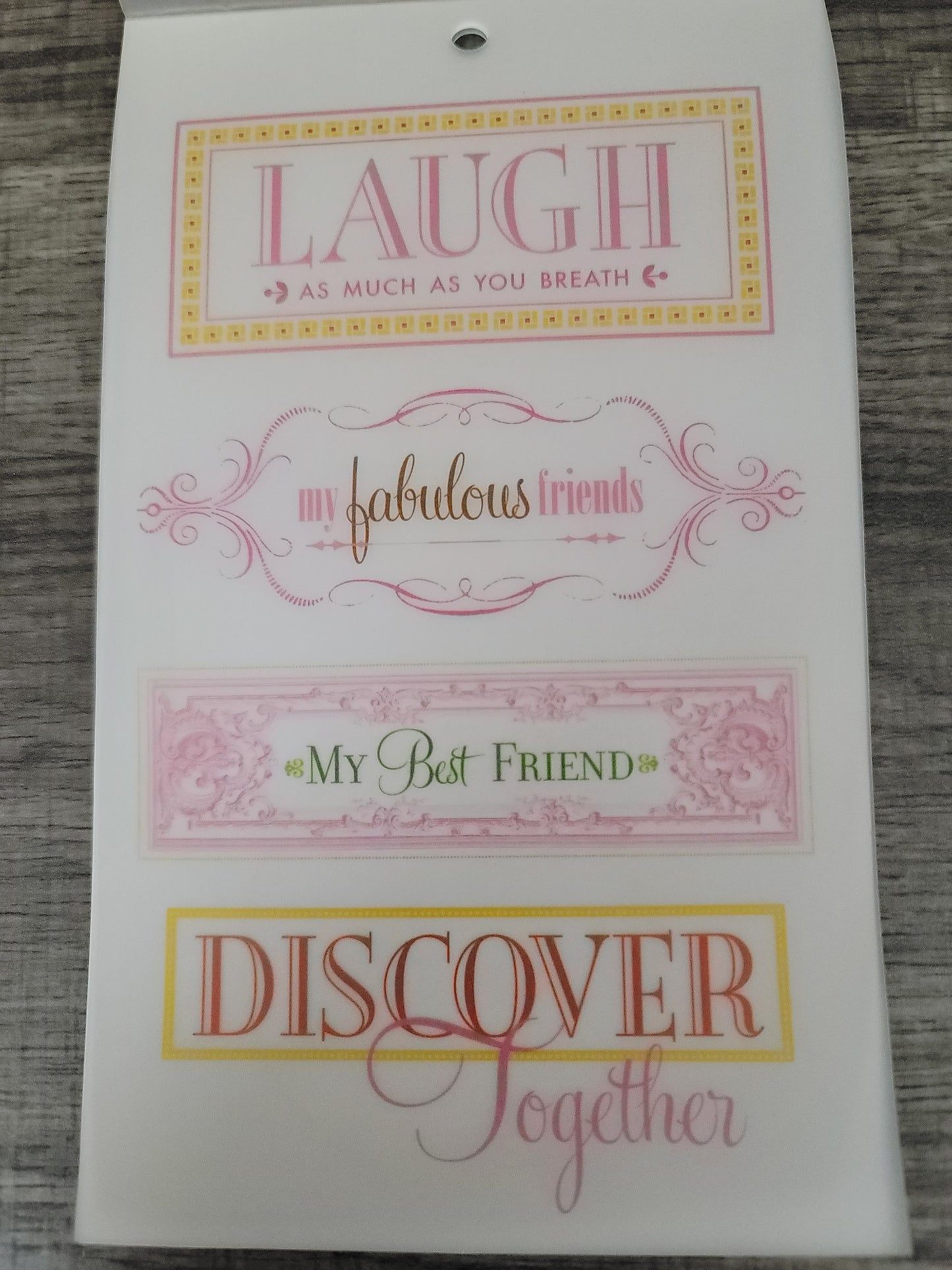 Anna Griffin Carmen Vellum Quotes, 12 Friendship Pages