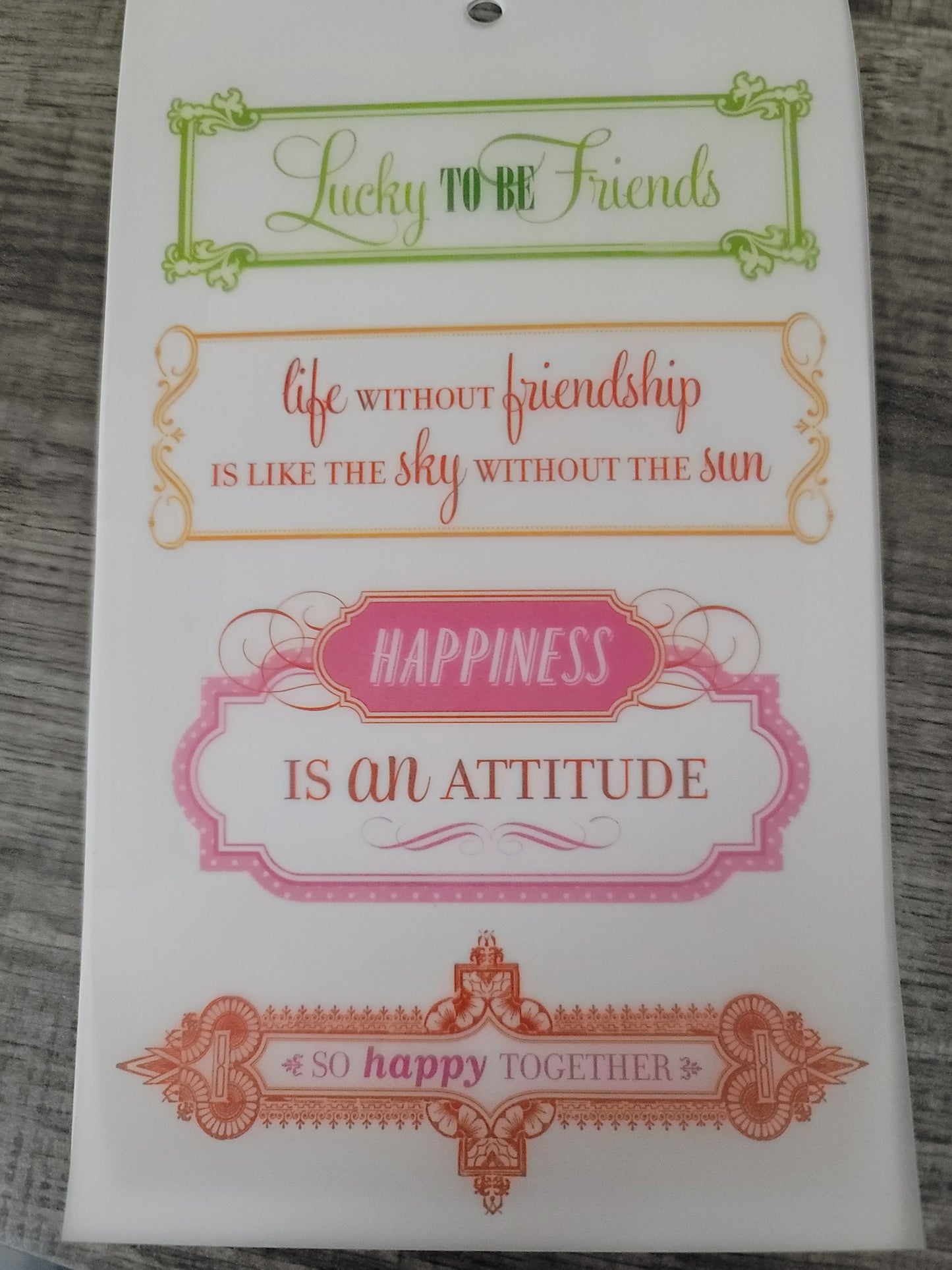 Anna Griffin Carmen Vellum Quotes, 12 Friendship Pages